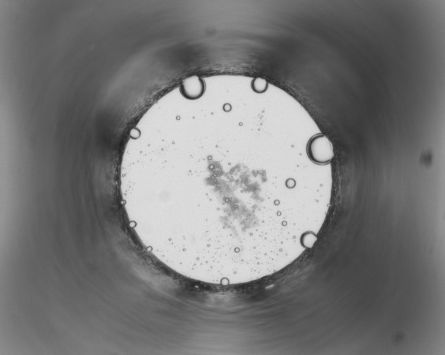 X0000116270309200912211804