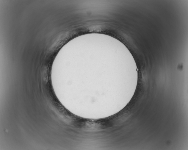 X0000116270311200912211803