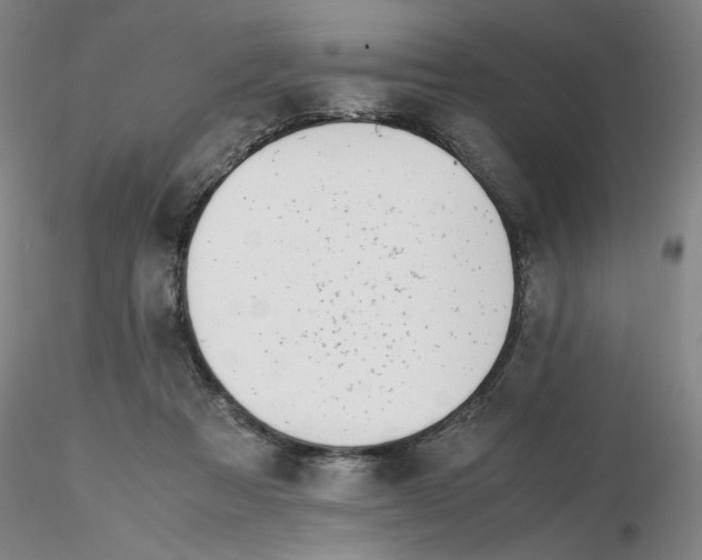 X0000116270313200912211803