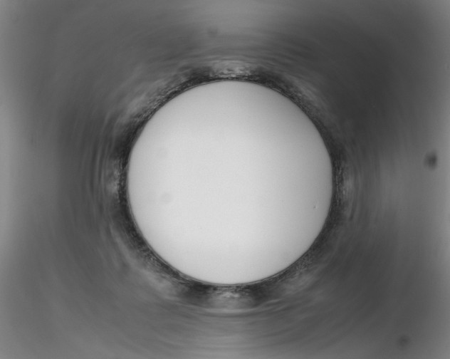 X0000116270315200912211803