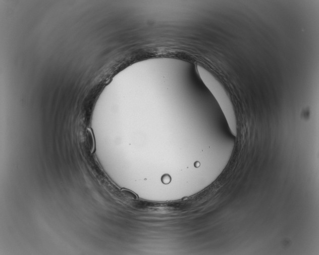 X0000116270316200912211803