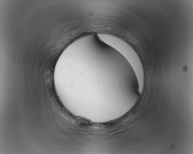 X0000116270317200912211803