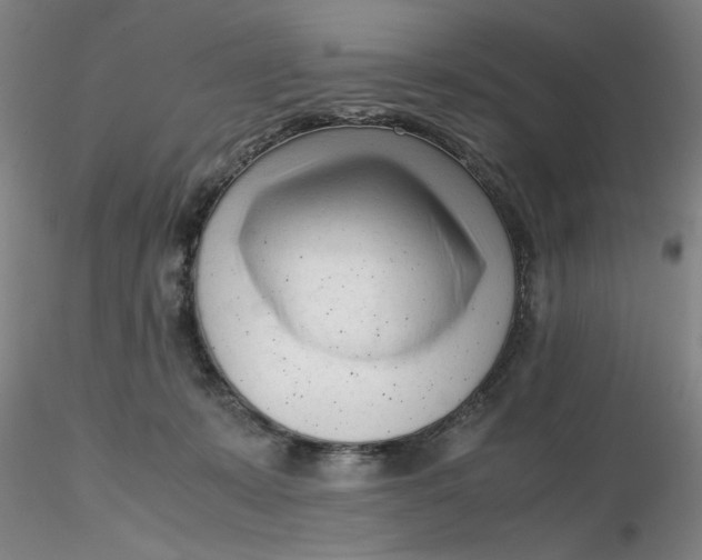 X0000116270319200912211803
