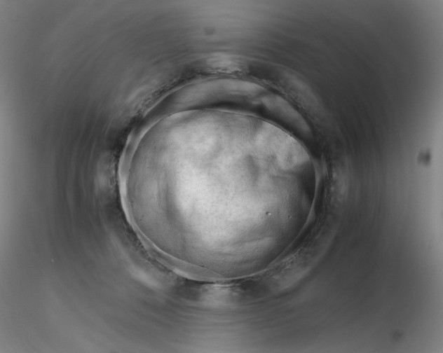 X0000116270320200912211803
