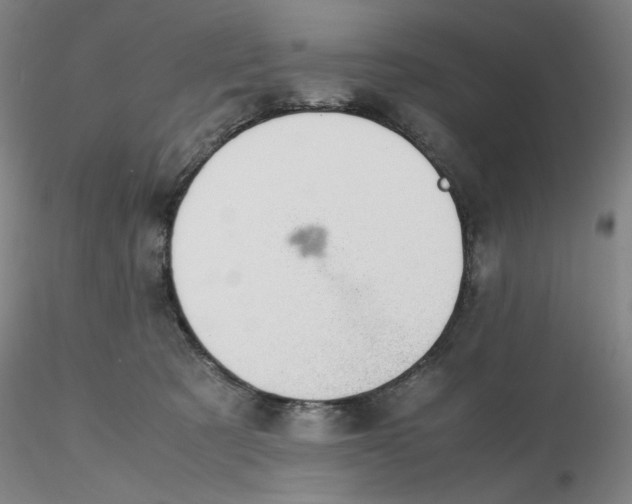 X0000116270321200912211803