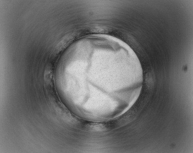X0000116270322200912211803
