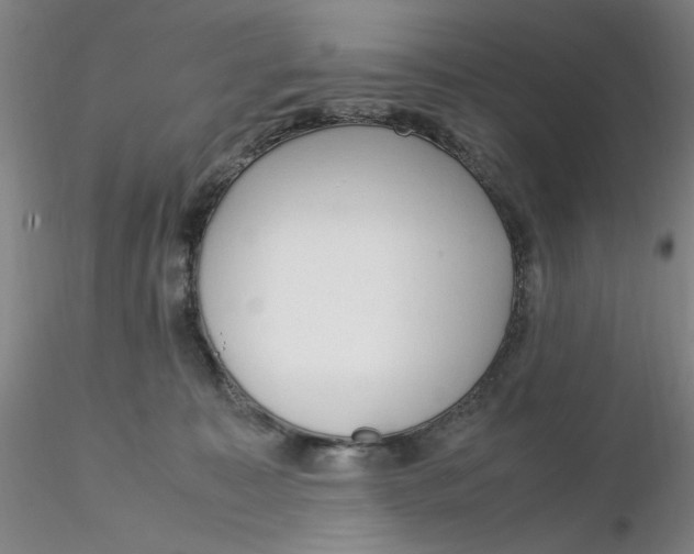 X0000116270323200912211803