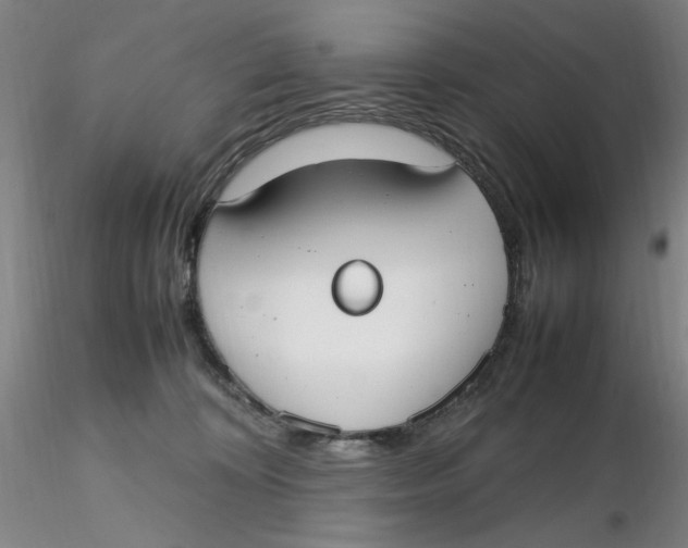X0000116270324200912211803