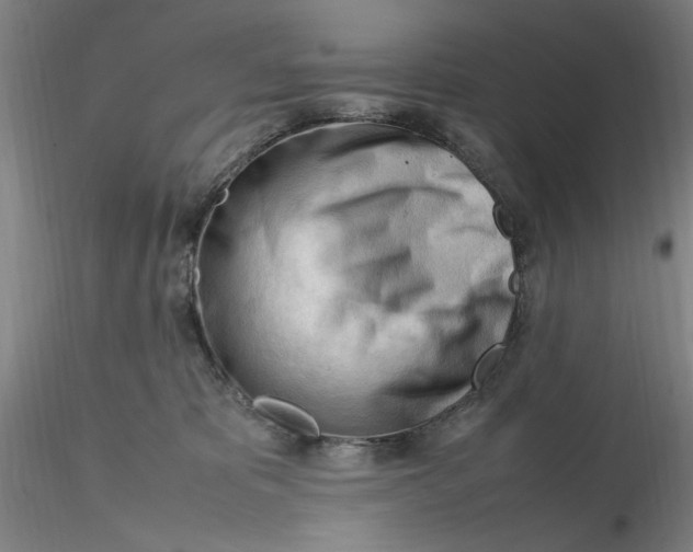 X0000116270325200912211803