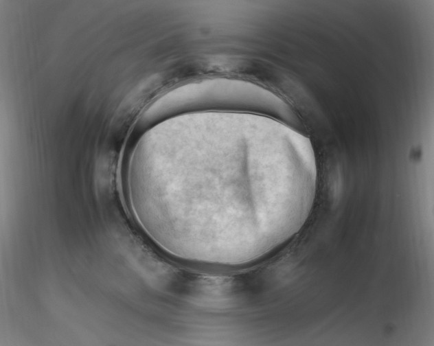 X0000116270328200912211803