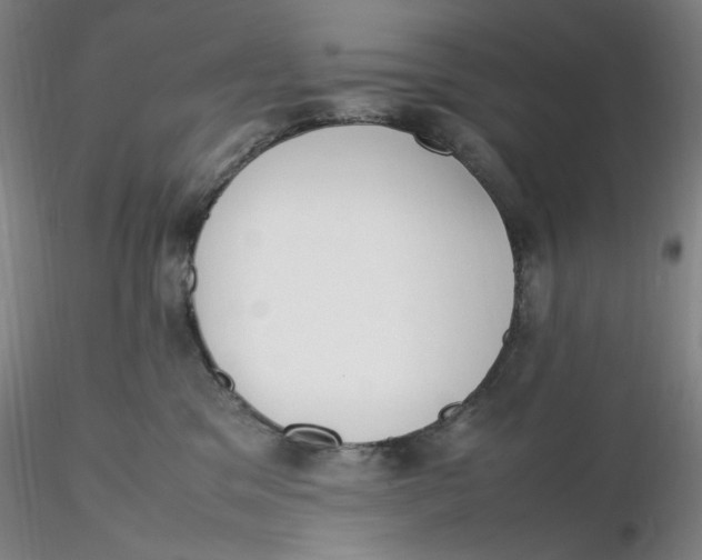 X0000116270329200912211803