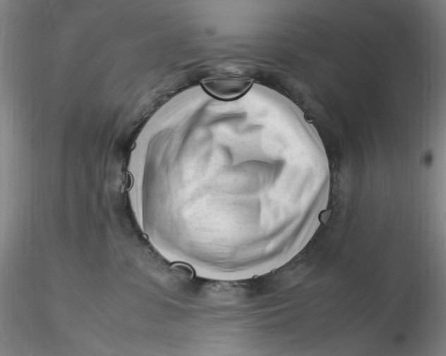 X0000116270331200912211803
