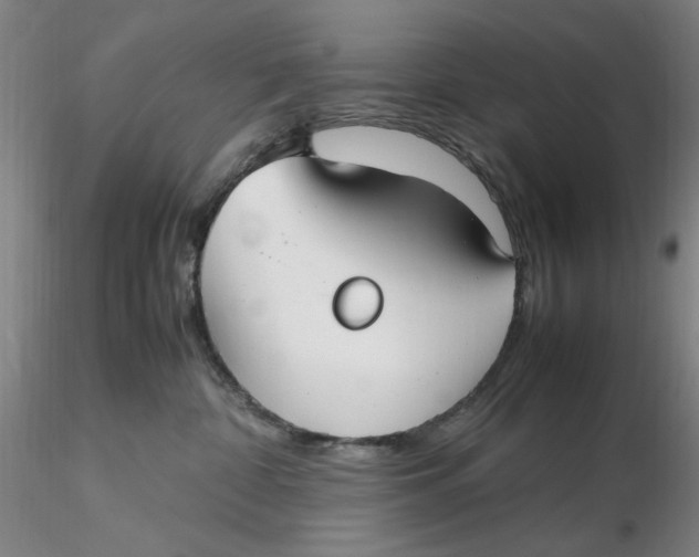 X0000116270332200912211803