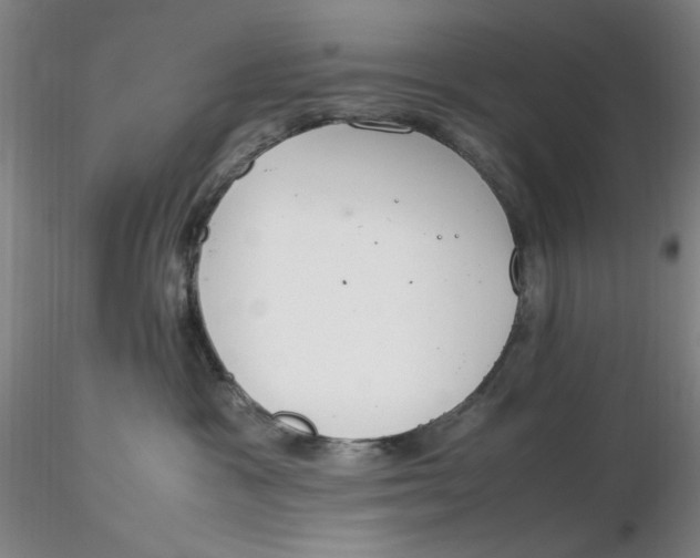 X0000116270333200912211803