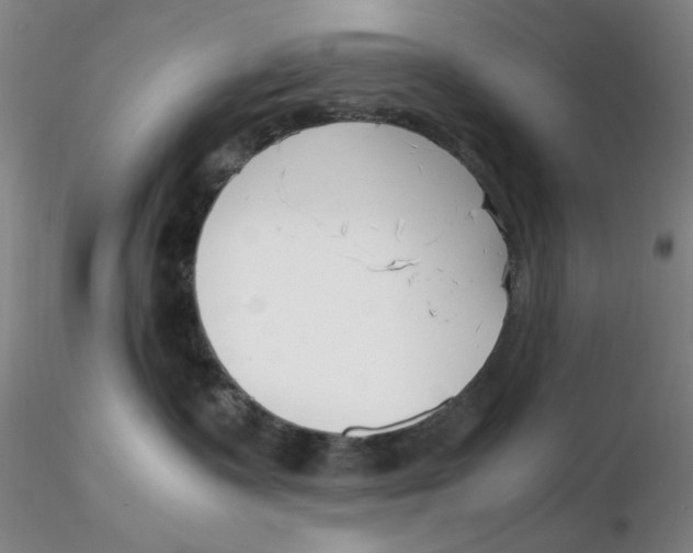 X0000116270335200912211803