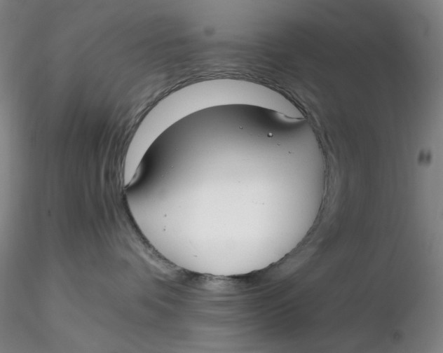 X0000116270336200912211803