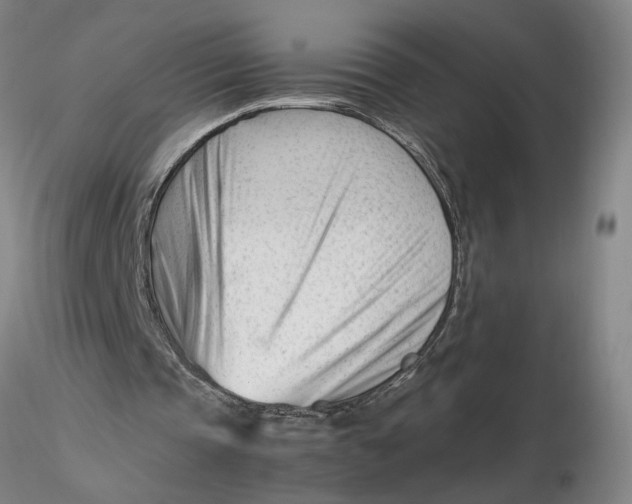 X0000116270337200912211802