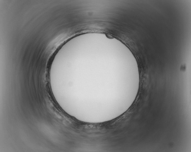 X0000116270338200912211803