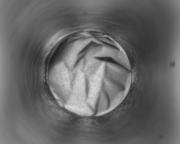 X0000116270339200912211803