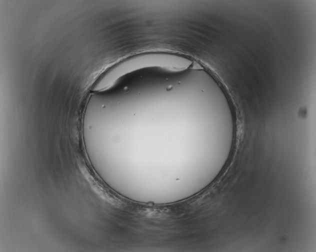 X0000116270345200912211803