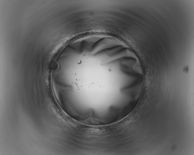 X0000116270347200912211803