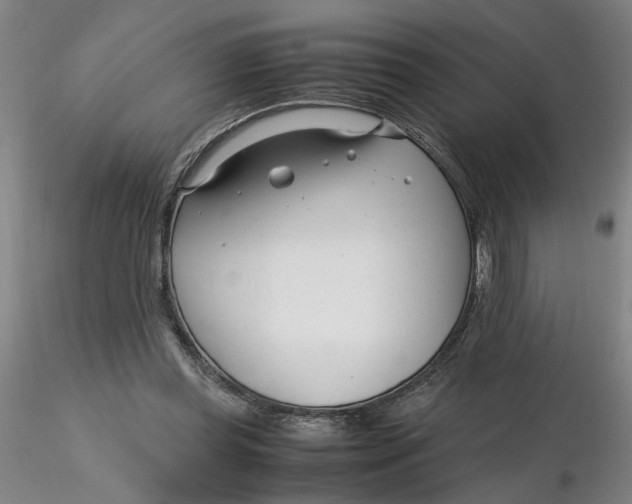 X0000116270349200912211803