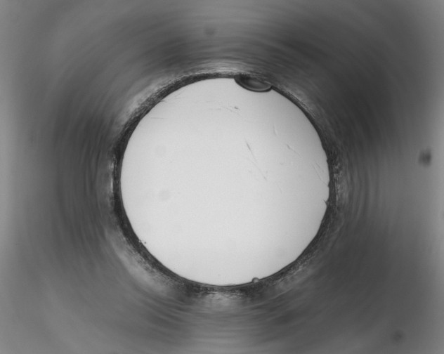 X0000116270350200912211803
