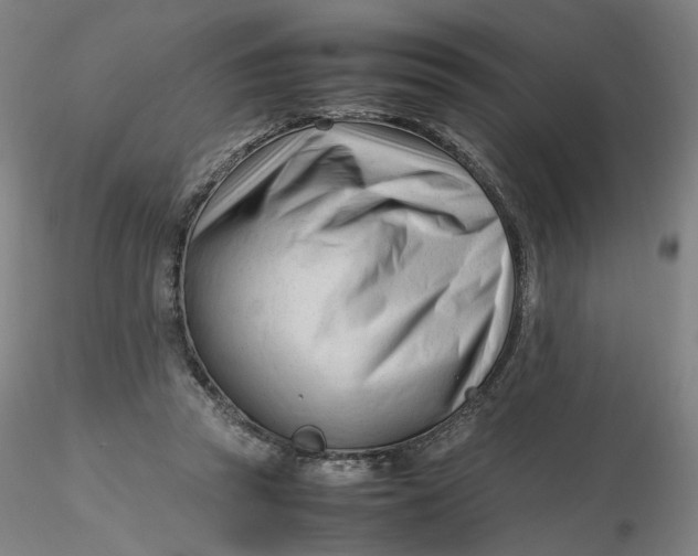 X0000116270353200912211803