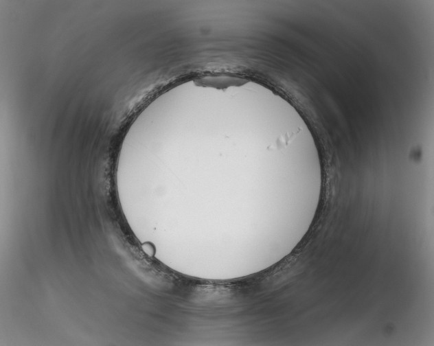 X0000116270354200912211803