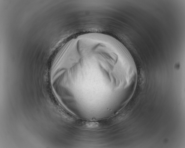 X0000116270355200912211803