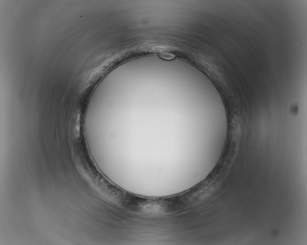 X0000116270358200912211803