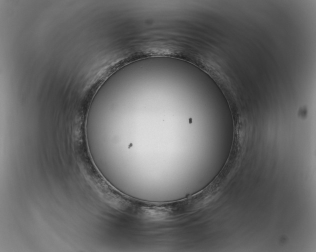 X0000116270359200912211803