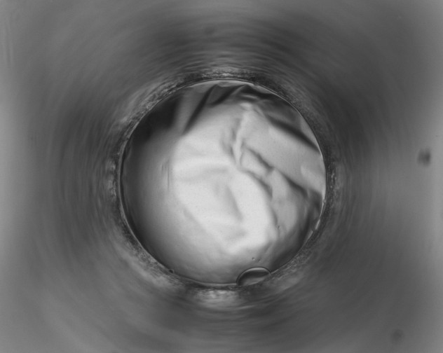 X0000116270361200912211803