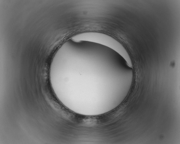 X0000116270362200912211803