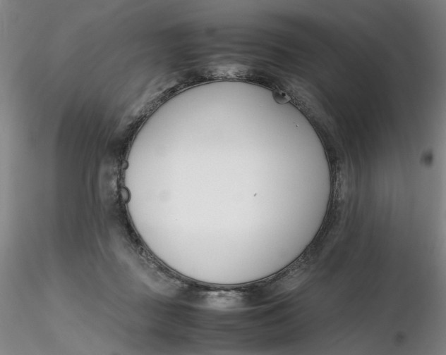 X0000116270363200912211803