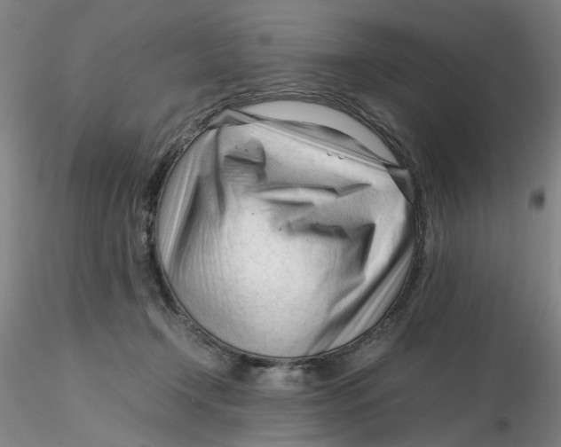 X0000116270366200912211803