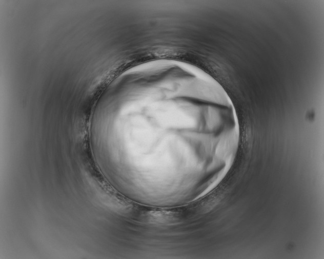 X0000116270367200912211803