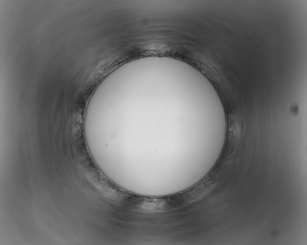 X0000116270369200912211803