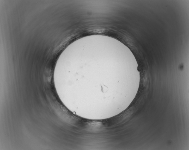X0000116270374200912211803