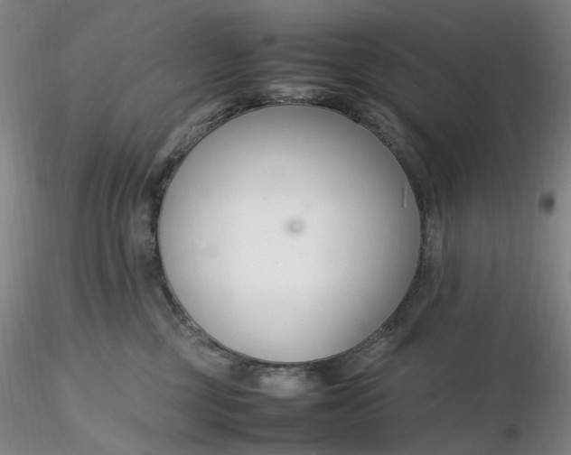 X0000116270377200912211803
