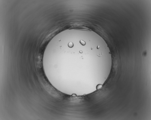 X0000116270378200912211803
