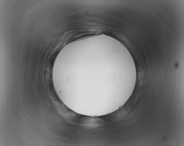 X0000116270379200912211803