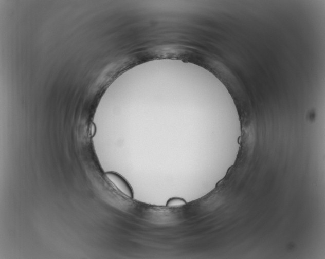 X0000116270381200912211803