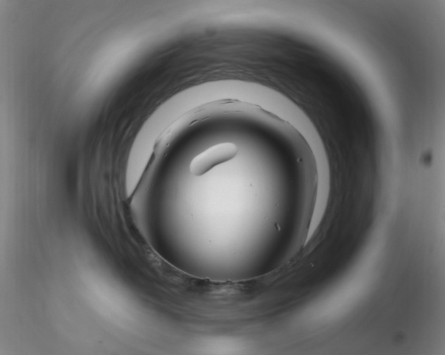 X0000116270382200912211803