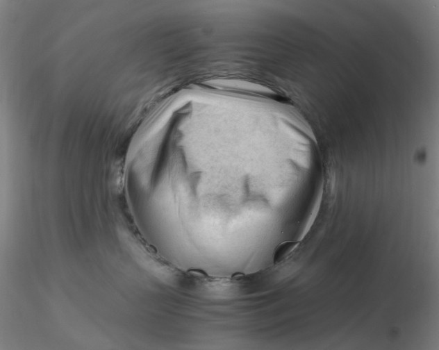 X0000116270383200912211803