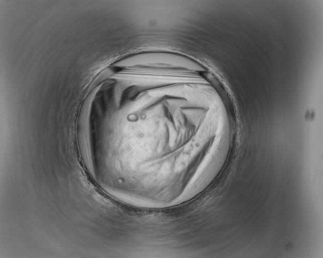 X0000116270385200912211802