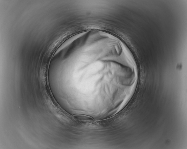 X0000116270386200912211802