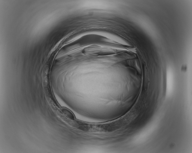 X0000116270387200912211802