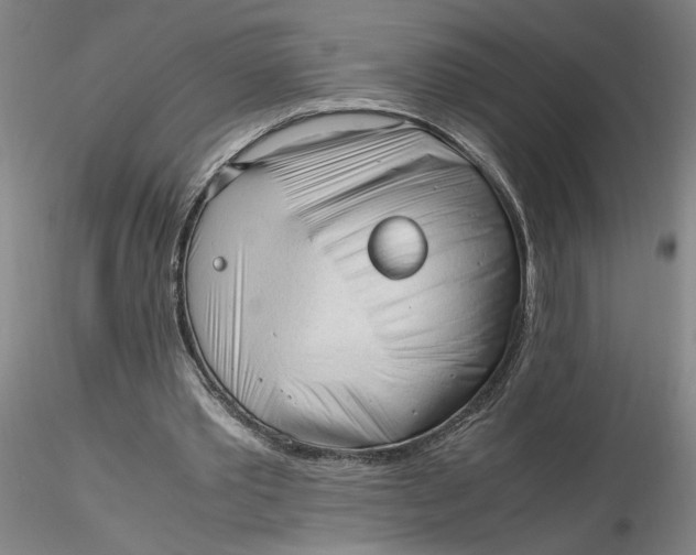 X0000116270389200912211802