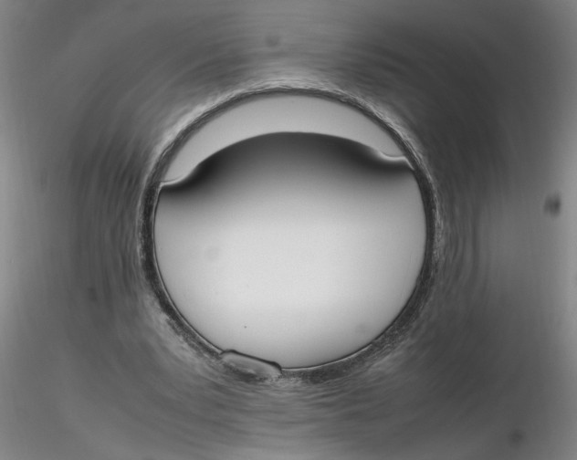 X0000116270391200912211802